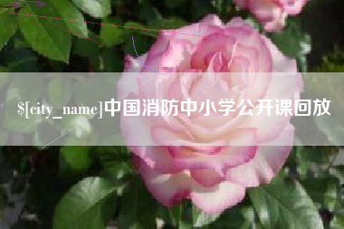 泗洪中国消防中小学公开课回放