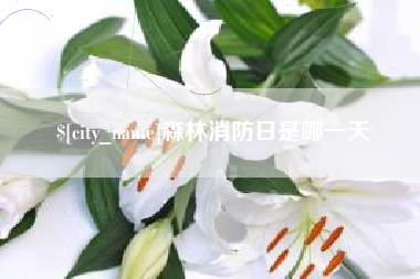 泗洪森林消防日是哪一天