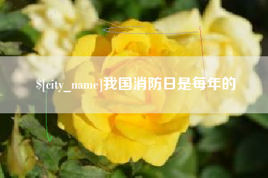 泗洪我国消防日是每年的