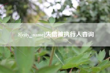 泗洪失信被执行人杳询
