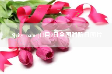 泗洪11月9日全国消防日图片