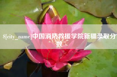 泗洪中国消防救援学院新疆录取分数