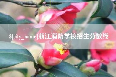 泗洪浙江消防学校招生分数线