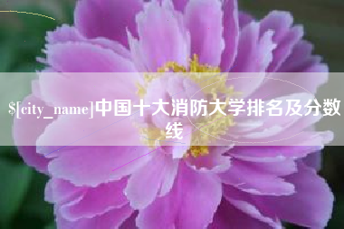 泗洪中国十大消防大学排名及分数线