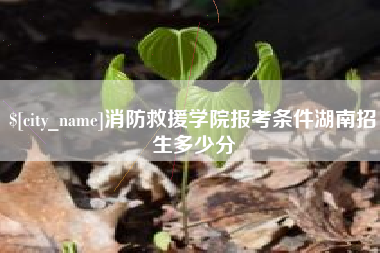 泗洪消防救援学院报考条件湖南招生多少分