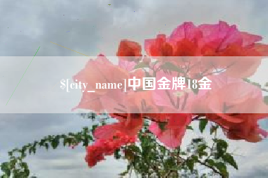 泗洪中国金牌18金