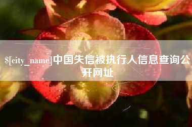 泗洪中国失信被执行人信息查询公开网址