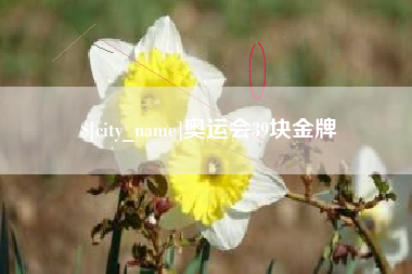 泗洪奥运会39块金牌