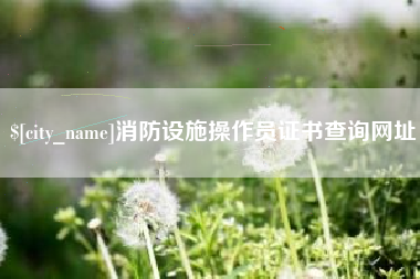 泗洪消防设施操作员证书查询网址