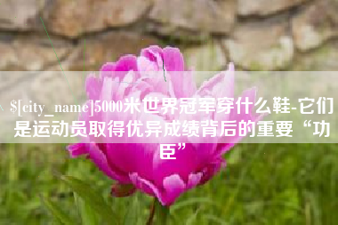 泗洪5000米世界冠军穿什么鞋-它们是运动员取得优异成绩背后的重要“功臣”