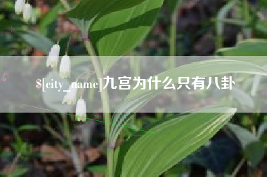 泗洪九宫为什么只有八卦