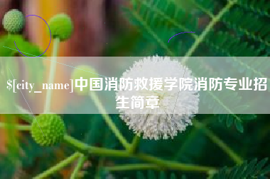 泗洪中国消防救援学院消防专业招生简章
