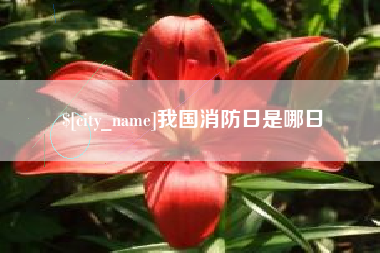 泗洪我国消防日是哪日