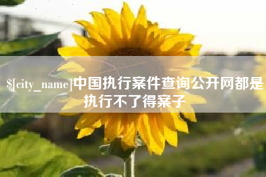 泗洪中国执行案件查询公开网都是执行不了得案子