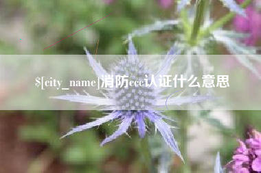 泗洪消防ccc认证什么意思