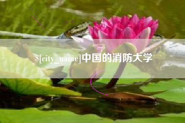 泗洪中国的消防大学