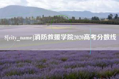 泗洪消防救援学院2020高考分数线