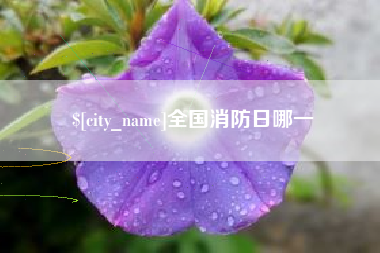 泗洪全国消防日哪一