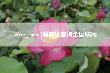 泗洪消防证查询全国联网