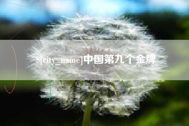 泗洪中国第九个金牌