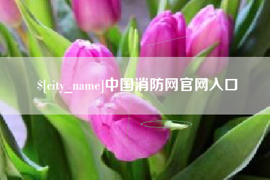 泗洪中国消防网官网入口