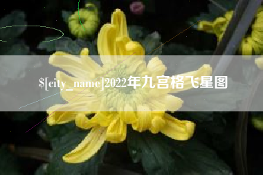 泗洪2022年九宫格飞星图