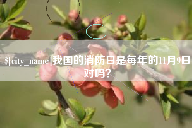 泗洪我国的消防日是每年的11月9日对吗？