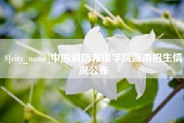 泗洪中国消防救援学院湖南招生情况公布