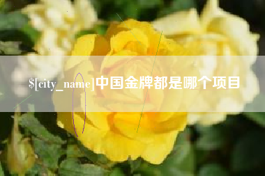 泗洪中国金牌都是哪个项目