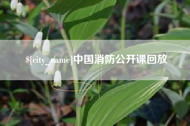 泗洪中国消防公开课回放