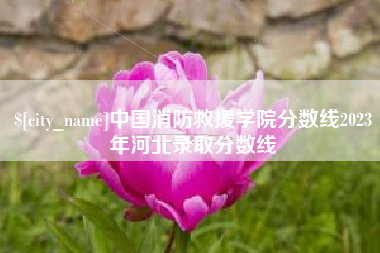 泗洪中国消防救援学院分数线2023年河北录取分数线