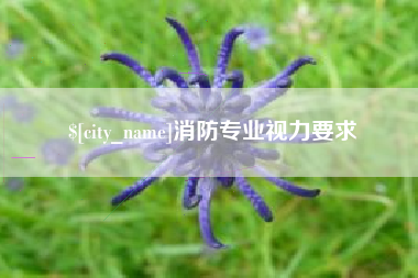 泗洪消防专业视力要求