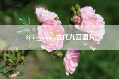 泗洪古代九宫图片