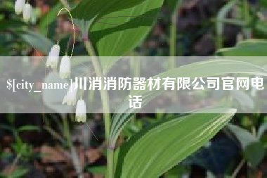 泗洪川消消防器材有限公司官网电话