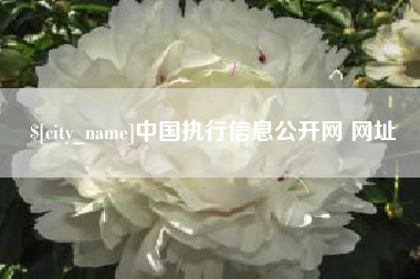 泗洪中国执行信息公开网 网址