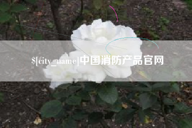泗洪中国消防产品官网