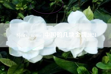 泗洪中国的几块金牌2021