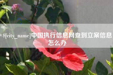 泗洪中国执行信息网查到立案信息怎么办