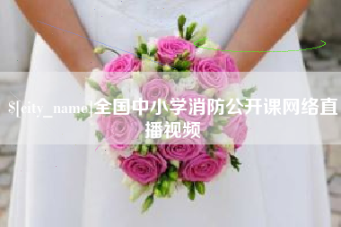 泗洪全国中小学消防公开课网络直播视频