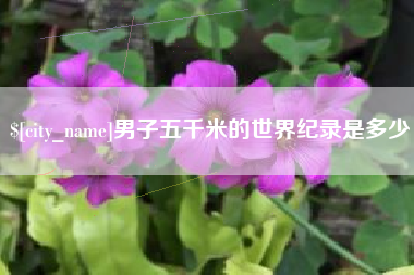 泗洪男子五千米的世界纪录是多少