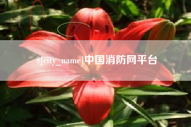 泗洪中国消防网平台
