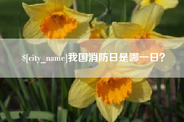 泗洪我国消防日是哪一日？