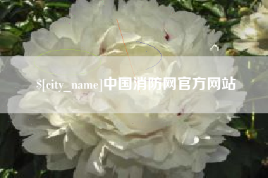 泗洪中国消防网官方网站