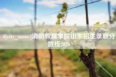 泗洪消防救援学院山东招生录取分数线2020