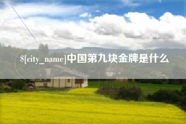 泗洪中国第九块金牌是什么