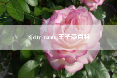 泗洪王子豪百科