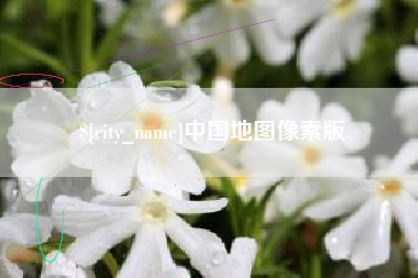 泗洪中国地图像素版