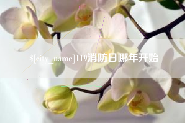泗洪119消防日哪年开始