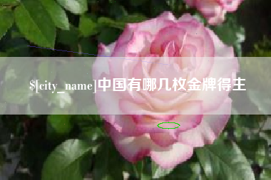 泗洪中国有哪几枚金牌得主