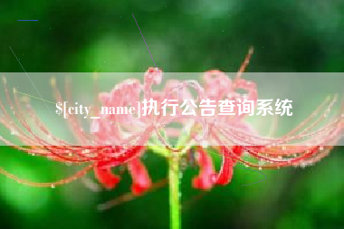 泗洪执行公告查询系统